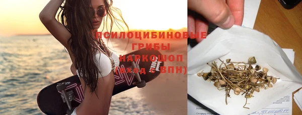 прущие грибы Лиски