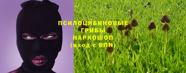 прущие грибы Лиски
