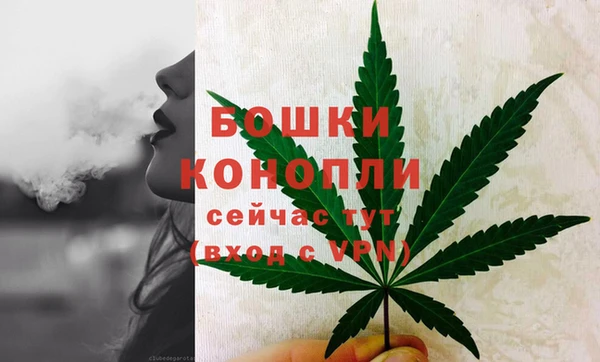 прущие грибы Лиски