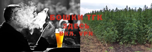 прущие крисы Тотьма